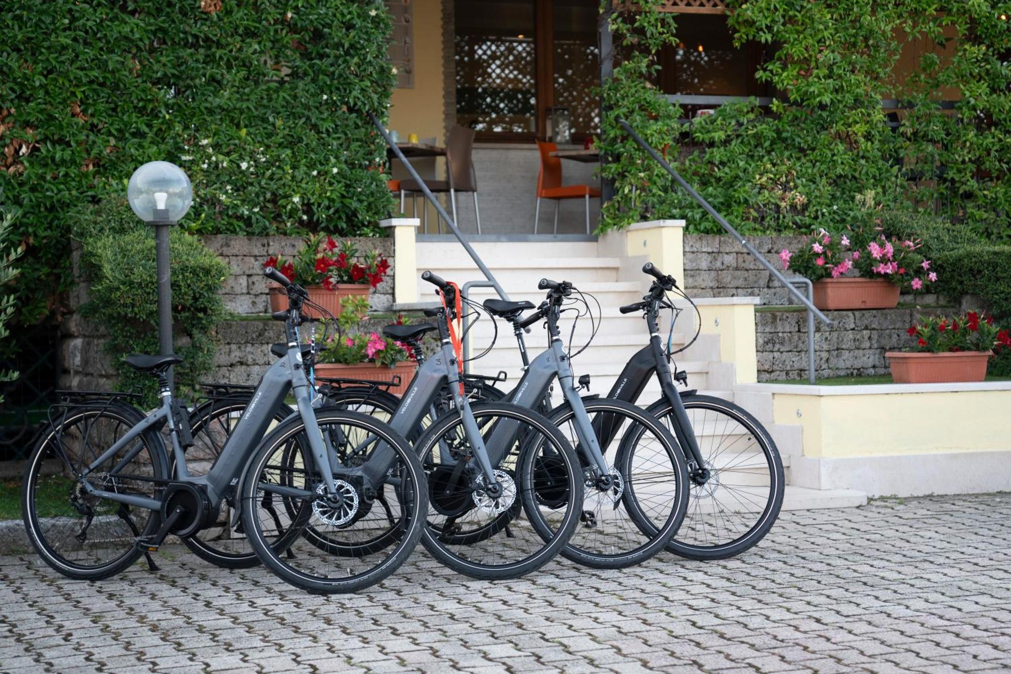 Hotel Garni Rosmari Brenzone sul Garda Kültér fotó