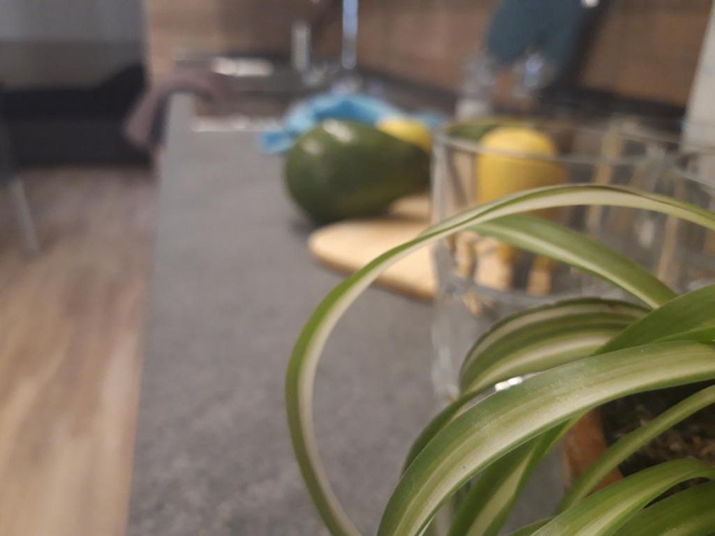 Hotel Garni Rosmari Brenzone sul Garda Szoba fotó
