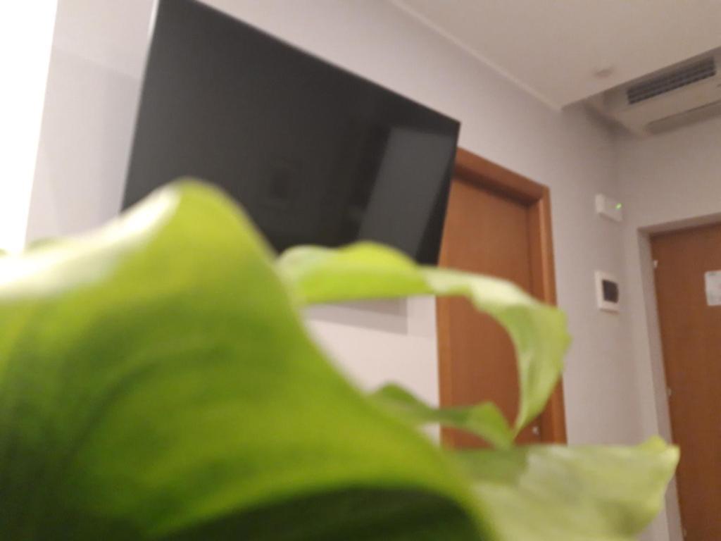 Hotel Garni Rosmari Brenzone sul Garda Szoba fotó